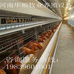 厂家直销各种养鸡设备层叠式笼养设备节约空间规划合理好管理