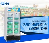 Haier/海尔商用展示柜SC-450G立式双门冷藏展示柜饮料陈列柜海尔冷柜