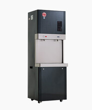 宏華開水器FT-9宏華沸騰式商務(wù)型開水機(jī)雙龍頭雙溫直飲機(jī)圖片