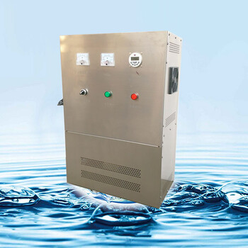 现货供应水箱自洁消毒器水池设备WTS-2A水箱自洁消毒器