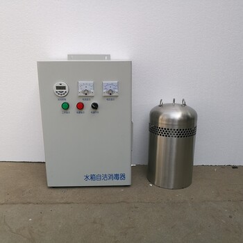 江苏水箱自洁消毒器WTS-2A水箱自洁消毒器生产厂家