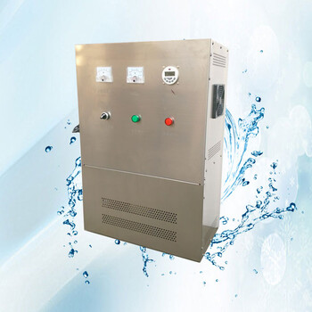 水箱臭氧自洁器水箱臭氧消毒器厂家WTS-2B