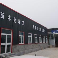 山东批发优质基地大红袍花椒树苗/规格齐全/成活率高/量大从优图片