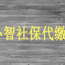 办理劳务派遣人力资源许可小智企业服务公司专办