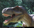 恐龍主題展活動系列恐龍模型出租恐龍展租賃