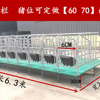 定位栏母猪限位栏猪位可定制厂家畜牧设备