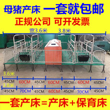 母猪产床双体猪用产床新型养猪设备