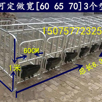 母猪限位栏猪用定位栏架