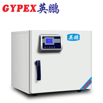 实验室电热恒温干燥箱YPHX-70GPF
