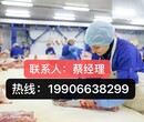 雇主直接招聘技普工月3万保签办理渠道正规安全百图片