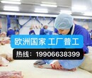 欧洲澳洲国家出国打工只办理正规工作签证图片