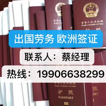 出国务工、办理快、保签不成功无费用急