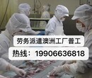 正规出国劳务司机多工种招工好的项目不等人图片