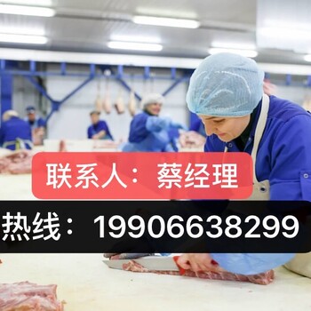 澳洲直招（保签）年薪60万华人雇主担保工签