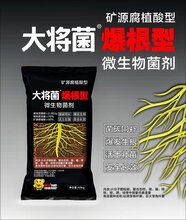 山东微生物菌肥厂家_微生物菌剂_生物肥有机肥作用图片