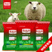 北京羔羊預混料廠家架子羊飼料品牌