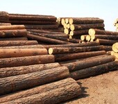 国外木材及木材制品进口需要什么资料