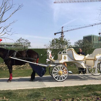 婚礼马车巡游马车租赁出售马车