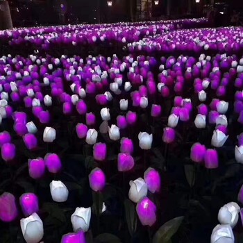 LED浪漫玫瑰花海出租玫瑰花海租賃報價