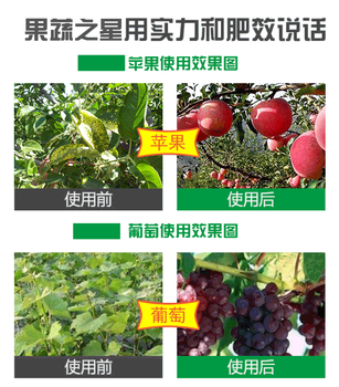 油茶肥
