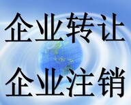 南岸学府大道公司包办税务做账报税解异常，变更注销图片3