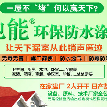 2019开个驰能防水店怎样要多少钱?