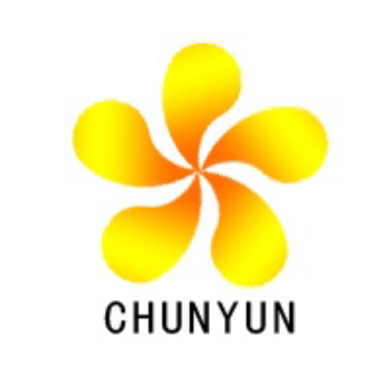 武汉纯云科技有限公司
