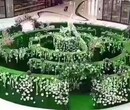 绿植迷宫出租绿色迷宫制作过程绿植迷宫租赁图片