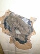 东莞房屋楼上地面干燥楼下漏水检测，家庭暗管漏水检测