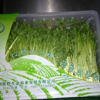 小油菜锁鲜装盒式气调包装机蔬菜盒式包装封口机