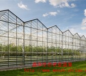 玻璃大棚用于蔬菜花卉玻璃大棚种植养殖温室大棚工程