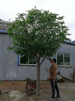 仿真包柱子树，店内景观树