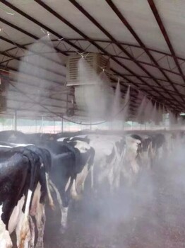 畜牧业喷雾畜牧业降温养殖场喷雾降温消毒系统