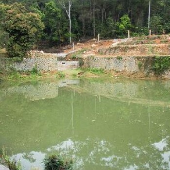 悬浮物颗粒直径中值检测_悬浮物颗粒直径中值测定_水质检测机构