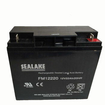 SEALAKE蓄电池FM1265产品简介