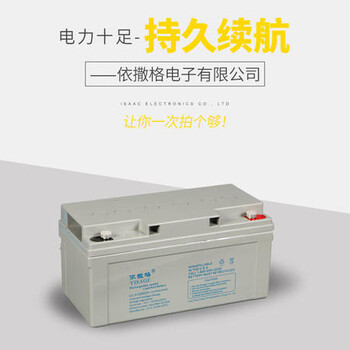 济南LC-X12100CH依撒格蓄电池12V100AH储能电池