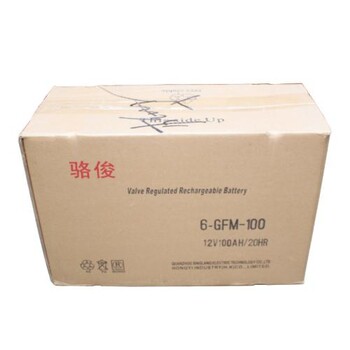 骆俊蓄电池6GFM-100AH全国含税运价格