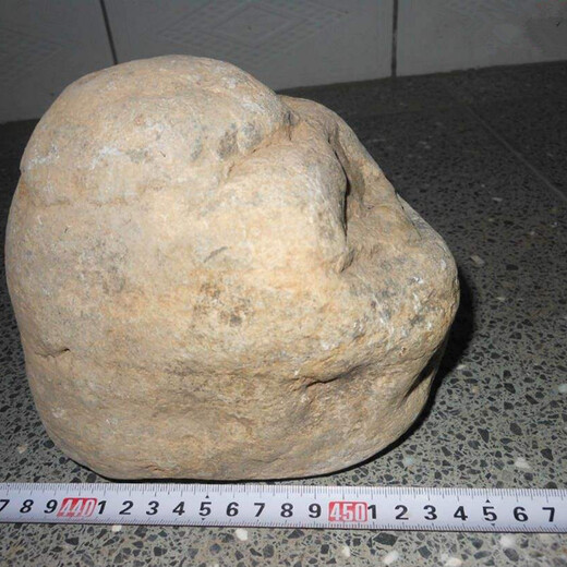 動物奇石快速拍賣市場比較好