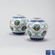 斗彩團(tuán)菊罐0491227180458152
