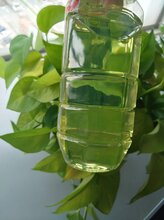 阳江柴油低价批发质量保证图片