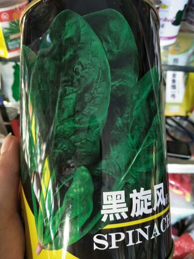 夏季菠菜種子品種選擇