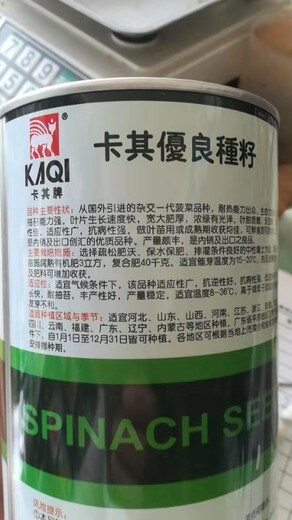 供应新品种菠菜种子