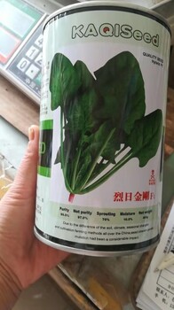 新品种菠菜种子种植时间