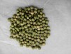 豌豆种子新品种产量高