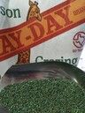 產(chǎn)量高的牧草種子高丹草進(jìn)口種子價(jià)格