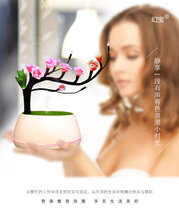 新款创意摆件幻宝花饰香薰灯特色家居饰品遥控桌面小夜灯厂家供应图片