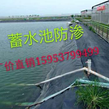 安徽养殖防渗膜厂家销售藕池防渗膜质量好价格低