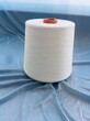 环锭纺国产天丝纱21s、30s针织机织两用裕邦纺织天丝棉混纺纱