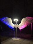 天使之翼.美丽的天使翅膀公司现货租赁出售