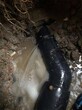 广州查漏水公司，小区工厂漏水检测，家里水管渗漏检测